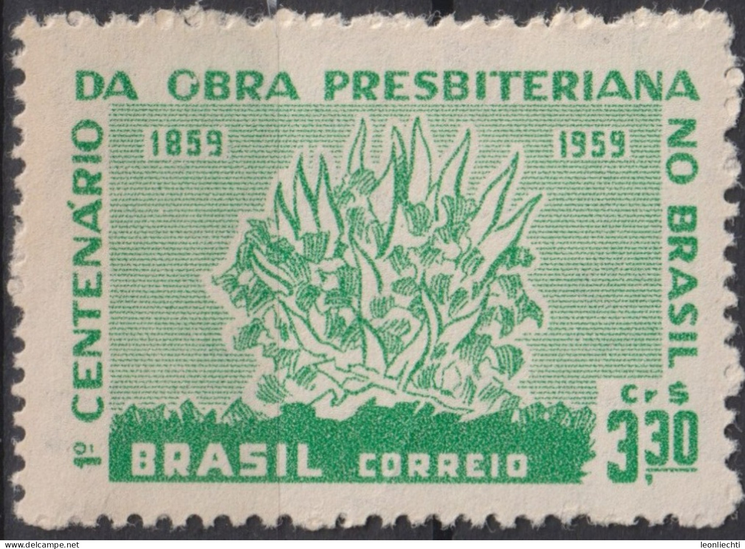 1959 Brasilien ** Mi:BR 970, Sn:BR 902, Yt:BR 687, Burning Bush, Brennender Busch - Neufs