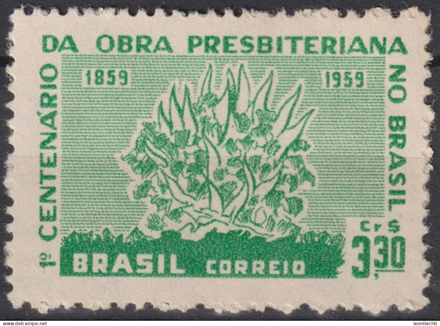 1959 Brasilien ** Mi:BR 970, Sn:BR 902, Yt:BR 687, Burning Bush, Brennender Busch - Neufs