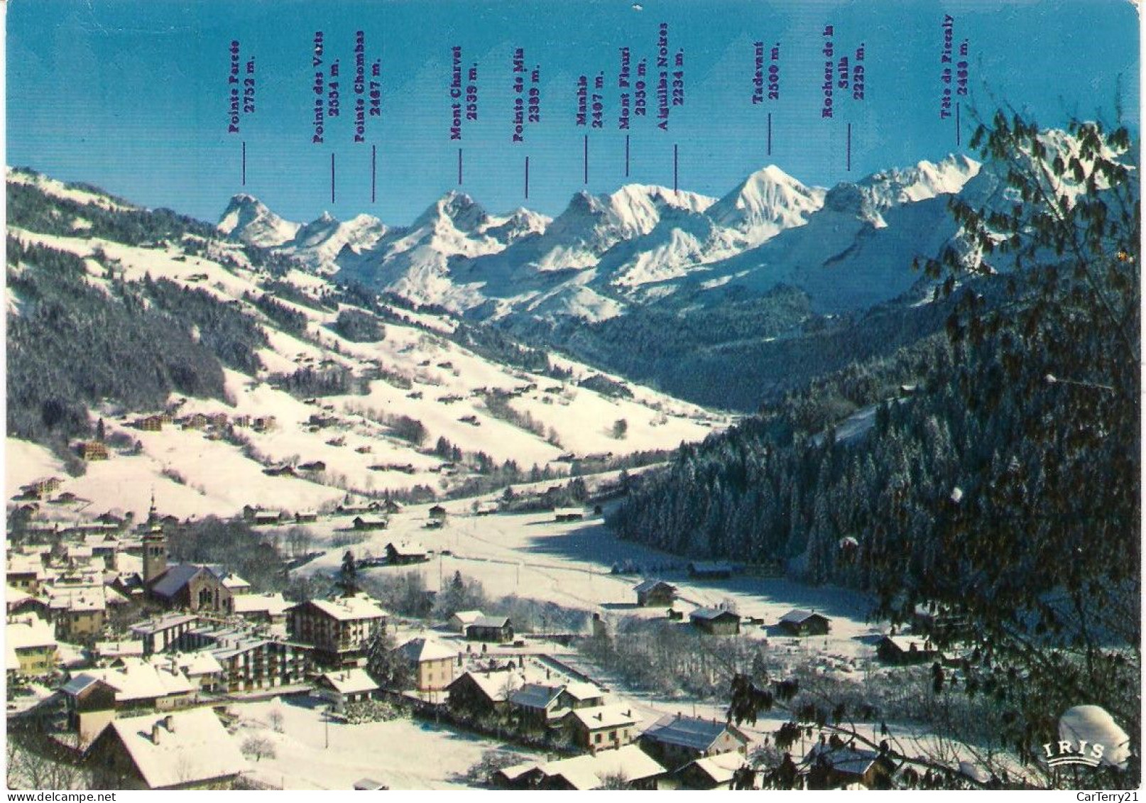 CPM. 74 LE GRAND BORNAND. STATION SOUS LA NEIGE FACE A LA CHAÎNE DES ARAVIS. - Le Grand Bornand