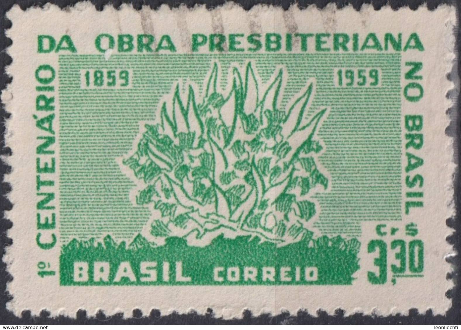 1959 Brasilien ° Mi:BR 970, Sn:BR 902, Yt:BR 687, Burning Bush, Brennender Busch - Usados
