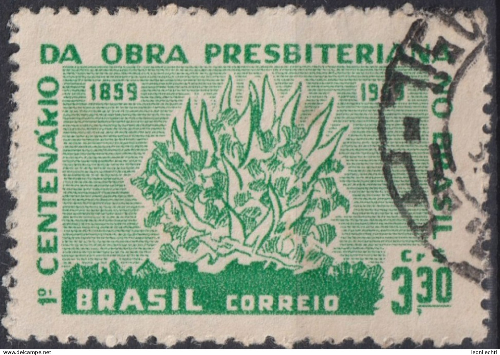 1959 Brasilien ° Mi:BR 970, Sn:BR 902, Yt:BR 687, Burning Bush, Brennender Busch - Usados