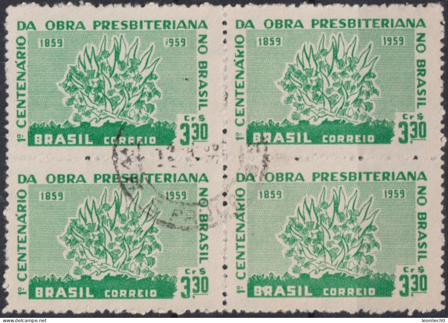 1959 Brasilien ° Mi:BR 970, Sn:BR 902, Yt:BR 687, Burning Bush, Brennender Busch - Used Stamps