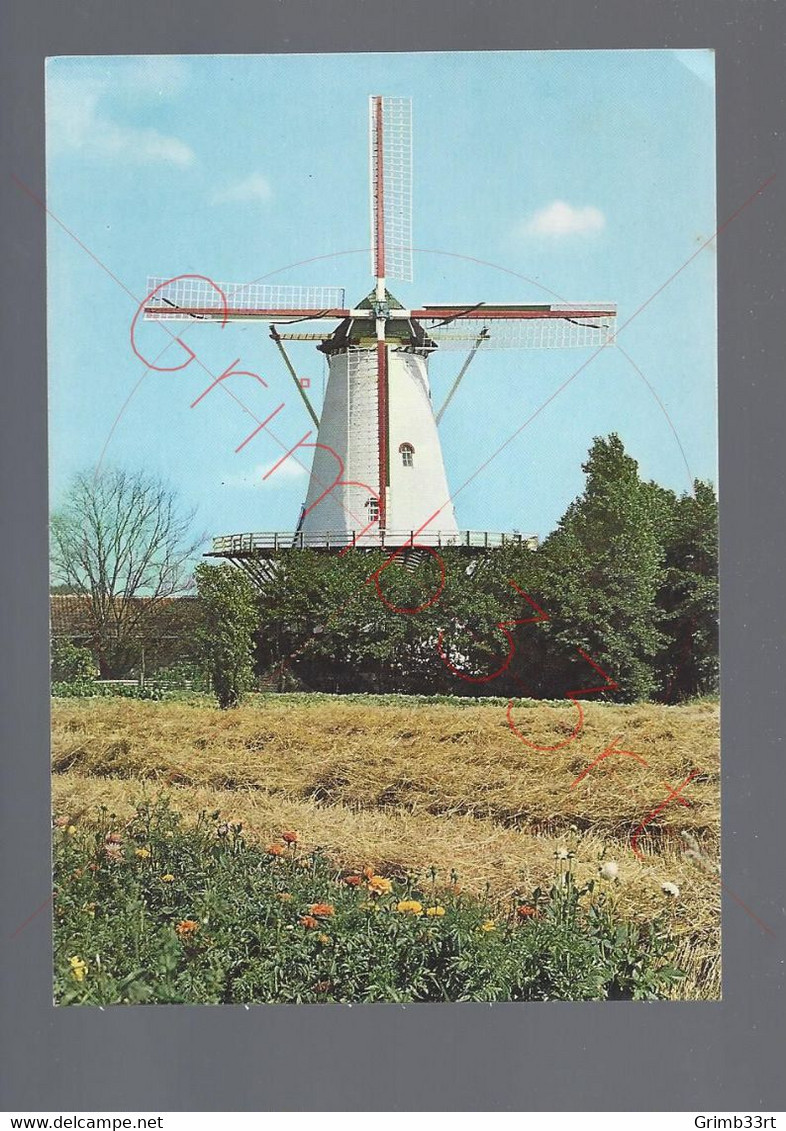 Oud-Vossemeer - De Jager Molen - Postkaart - Tholen