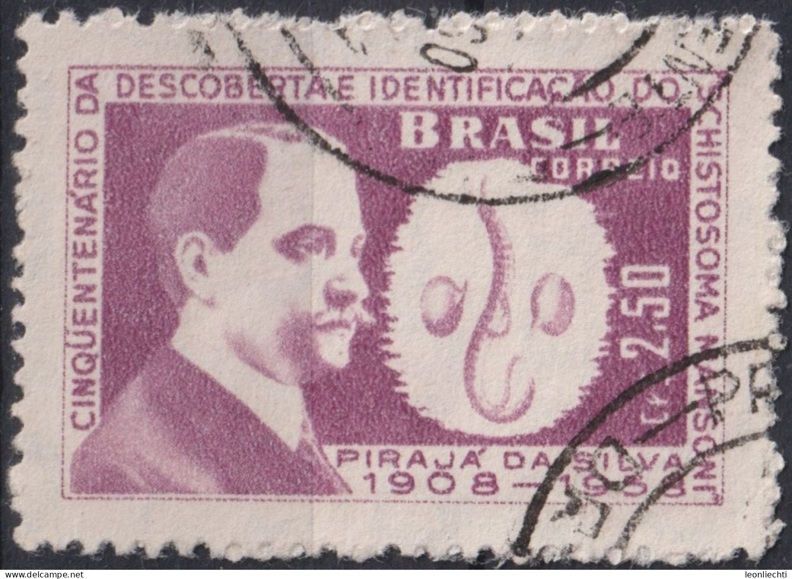 1959 Brasilien ° Mi:BR 971, Sn:BR 903, Yt:BR 689, Pirajá Da Silva (1873-1961) And Schistosoma Mansoni (fluke) - Usados