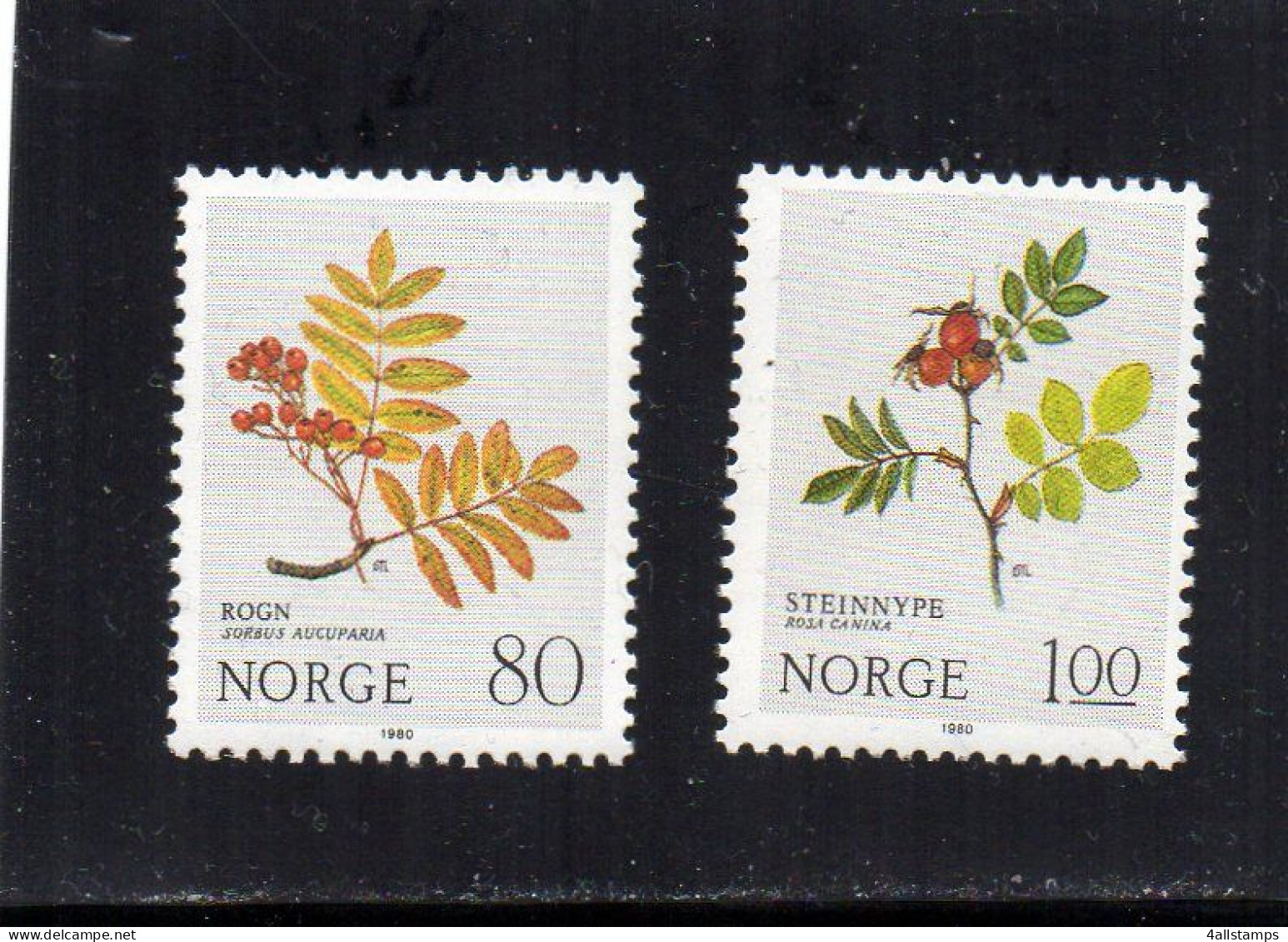 1980 Noorwegen Yv N° 781/782 : ** MNH, Postfris, Postfrisch , Neuf Sans Charniere - Neufs