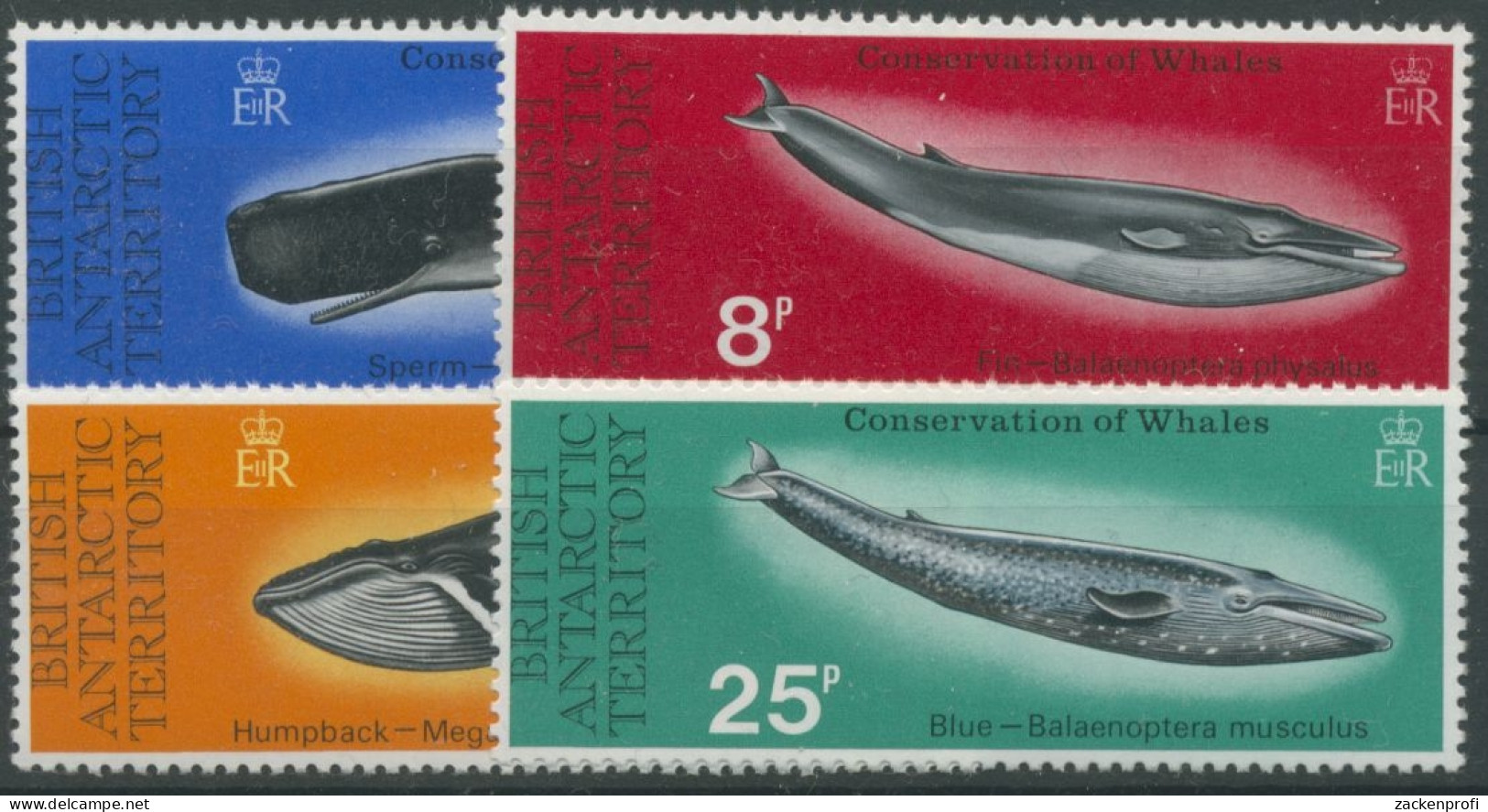 Britische Antarktis 1977 Schutz Der Wale 64/67 Postfrisch - Neufs