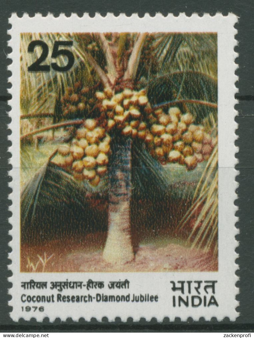 Indien 1976 Kokosnussanbau Palme 702 Postfrisch - Nuovi
