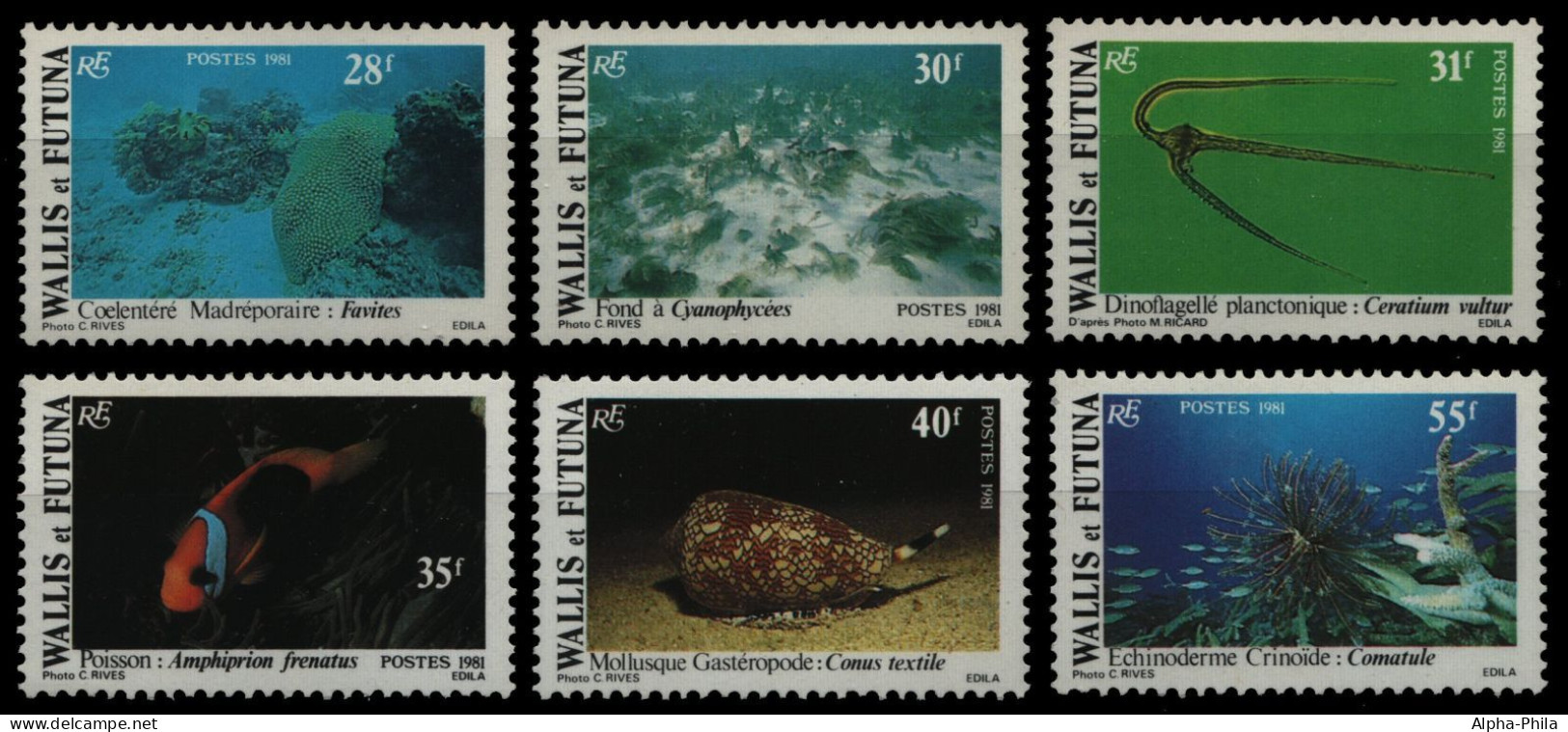 Wallis & Futuna 1981 - Mi-Nr. 390-395 ** - MNH - Meerestiere / Marine Life - Ungebraucht