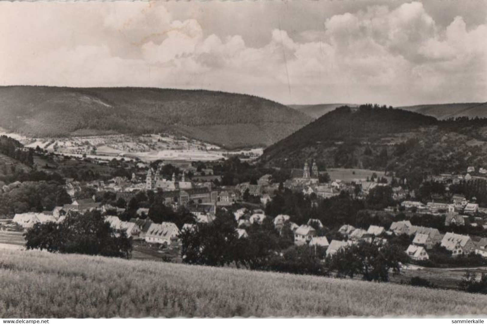 54217 - Amorbach - Blick Auf Gotthardt-Ruine - 1958 - Amorbach