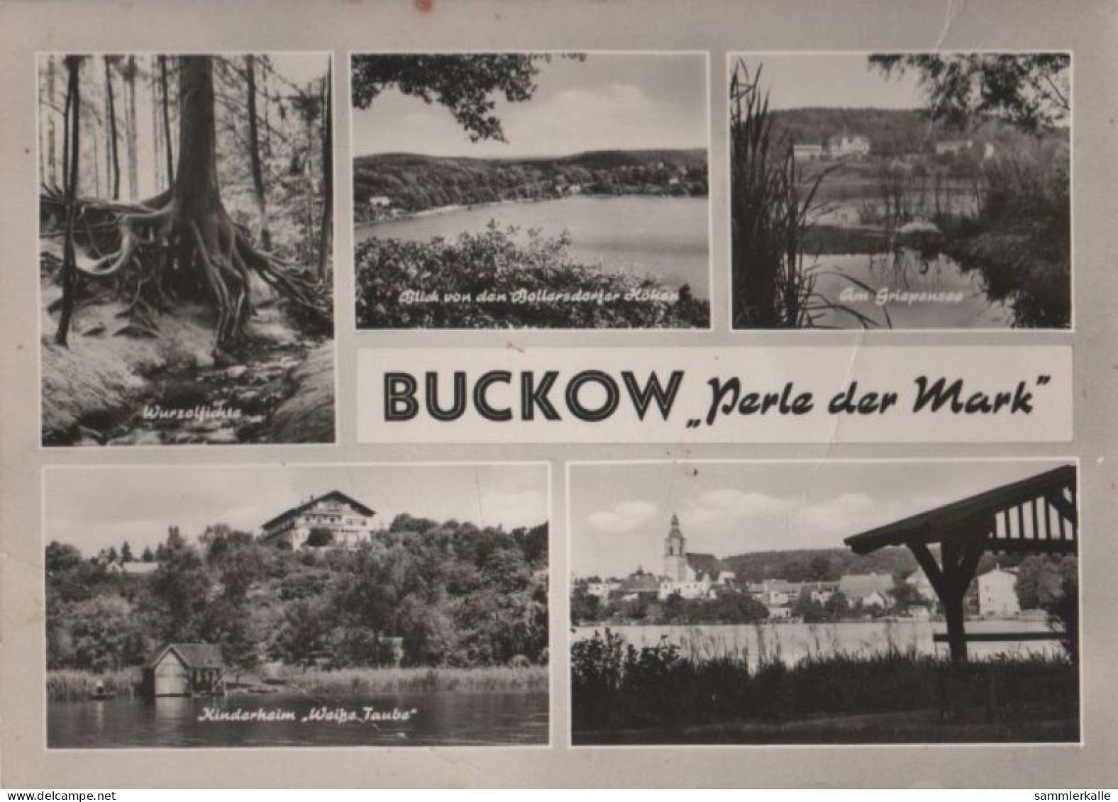45317 - Buckow - U.a. Kinderheim Weisse Taube - 1966 - Buckow