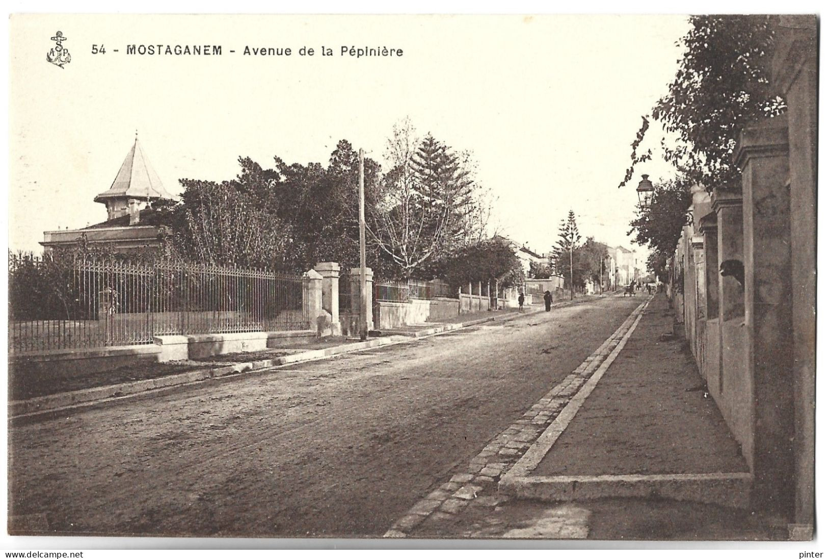 ALGERIE - MOSTAGANEM - Avenue De La Pépinière - Mostaganem