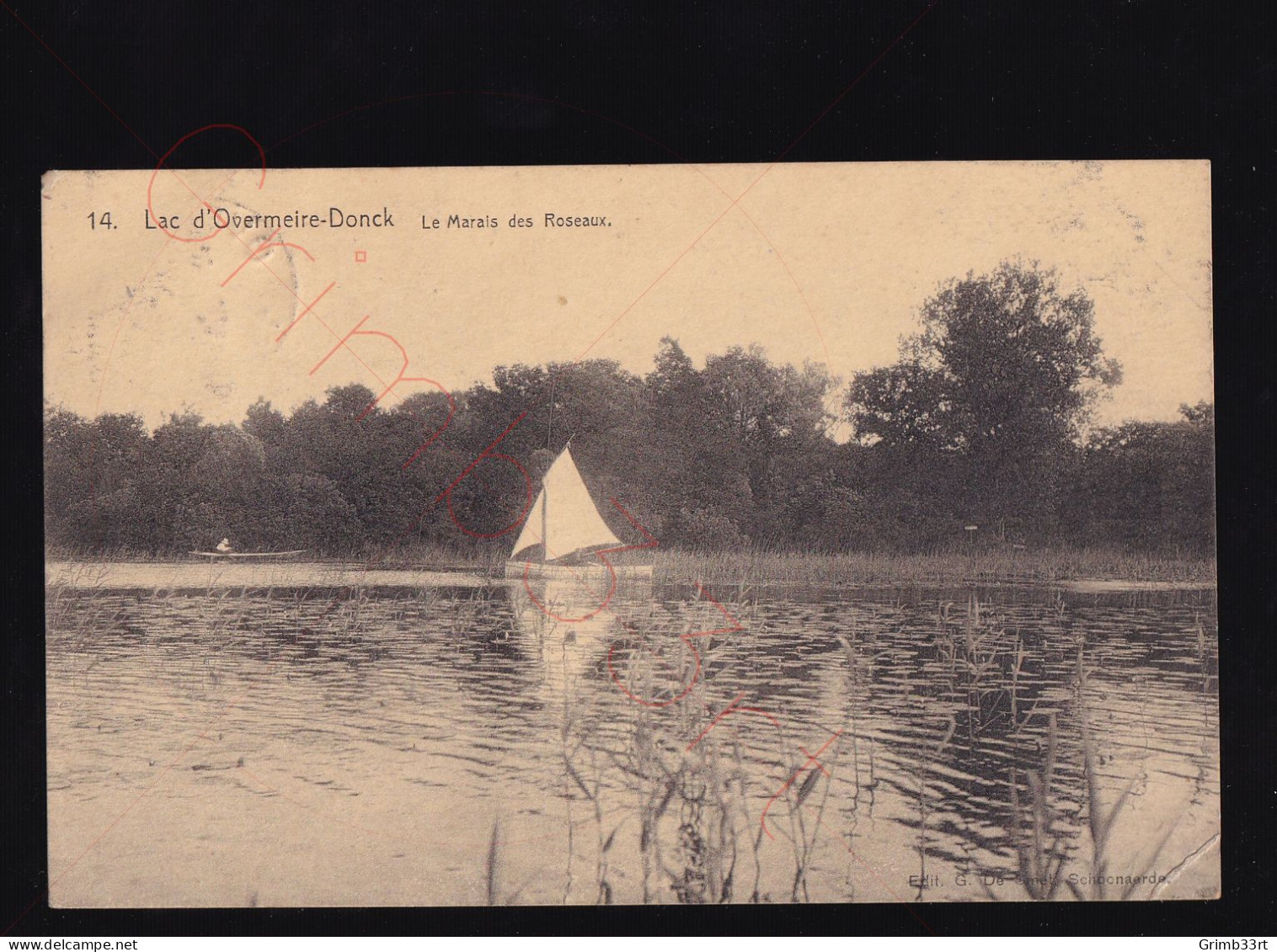 Lac D'Overmeire-Donck - Le Marais Des Roseaux - Postkaart - Berlare