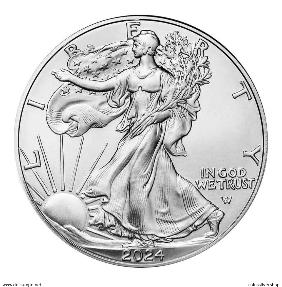 2024 $1 American Silver Eagle 1 Oz Bu - Collezioni