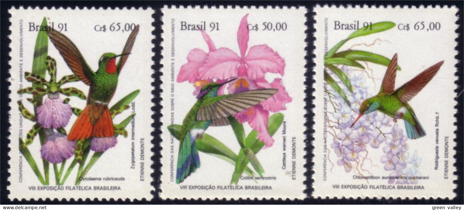 212 Brazil Colibris Kolibri Hummingbirds Oiseau Mouche MNH ** Neuf Sans CH (BRE-133c) - Segler & Kolibris
