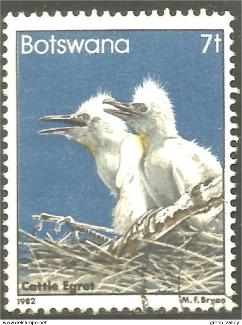 210 Botswana Oiseau Bird Vogel Uccello Cattle Egret Aigrette Du Bétail (BOT-34i) - Cranes And Other Gruiformes