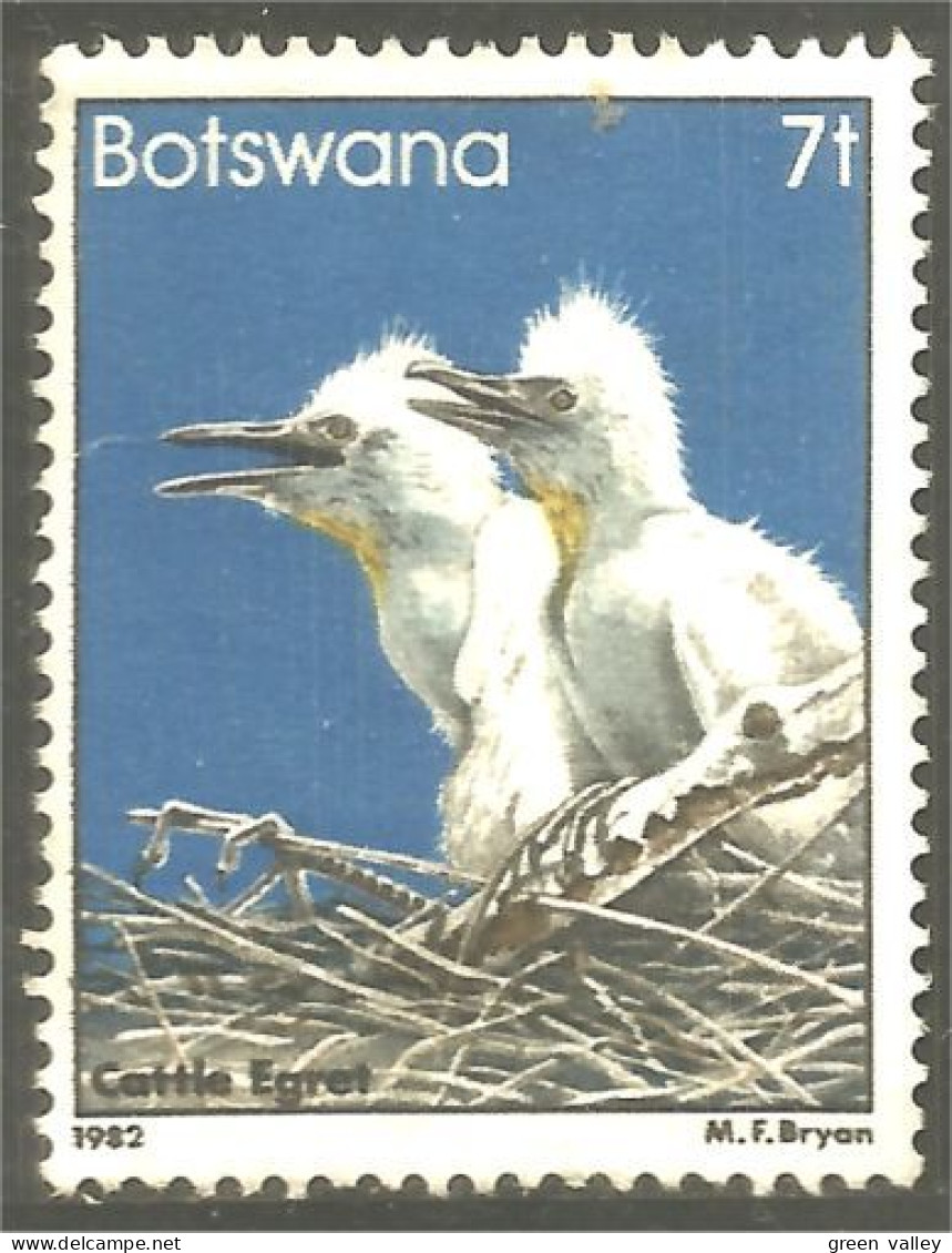 210 Botswana Oiseau Bird Vogel Uccello Cattle Egret Aigrette Du Bétail (BOT-34c) - Botswana (1966-...)