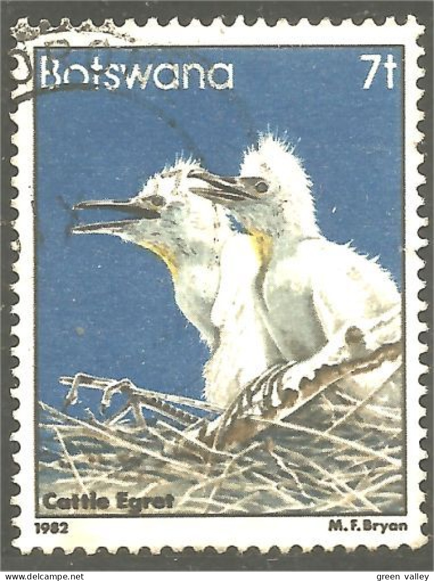 210 Botswana Oiseau Bird Vogel Uccello Cattle Egret Aigrette Du Bétail (BOT-34a) - Botswana (1966-...)