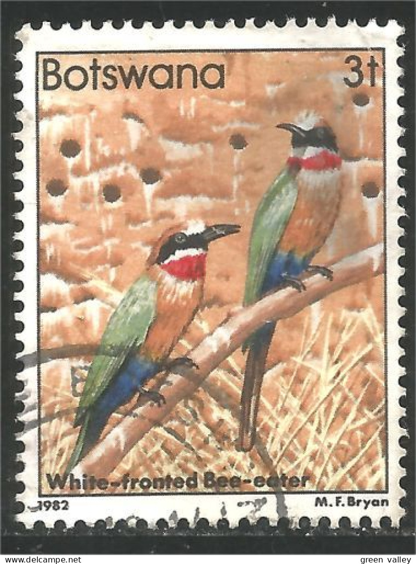 210 Botswana Oiseau Bird Vogel Uccello White Fronted Bee-Eater (BOT-32a) - Botswana (1966-...)