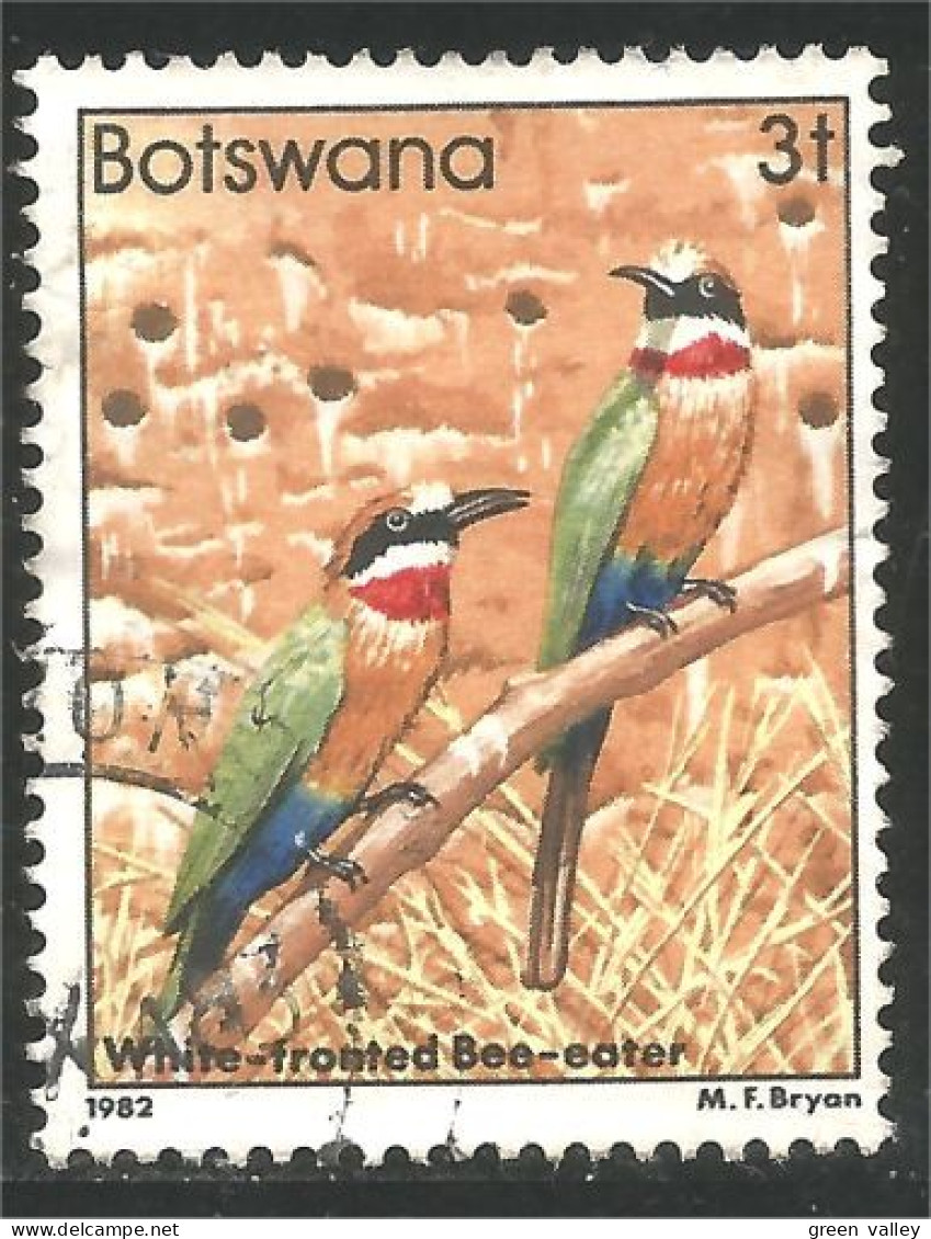 210 Botswana Oiseau Bird Vogel Uccello White Fronted Bee-Eater (BOT-32b) - Botswana (1966-...)