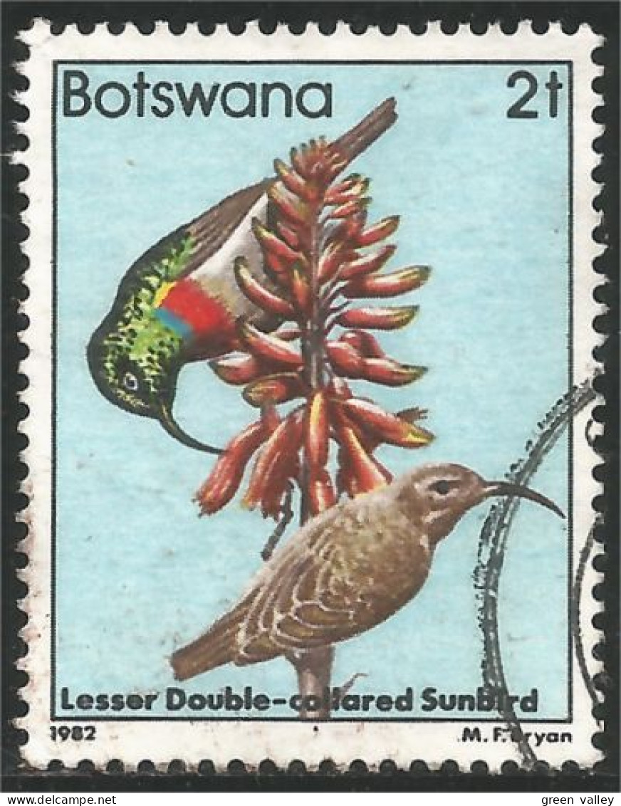 210 Botswana Oiseau Bird Vogel Uccello Lesser Double-colored Sunbird Bicolore (BOT-31b) - Botswana (1966-...)