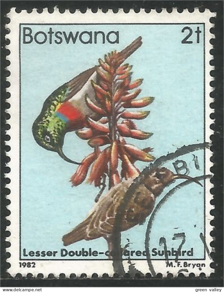 210 Botswana Oiseau Bird Vogel Uccello Lesser Double-colored Sunbird Bicolore (BOT-31c) - Botswana (1966-...)