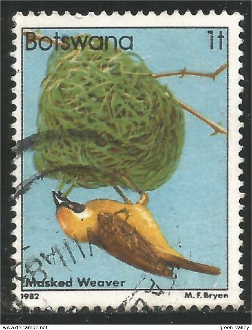 210 Botswana Oiseau Bird Vogel Uccello Masked Weaver Tisserand (BOT-30b) - Botswana (1966-...)