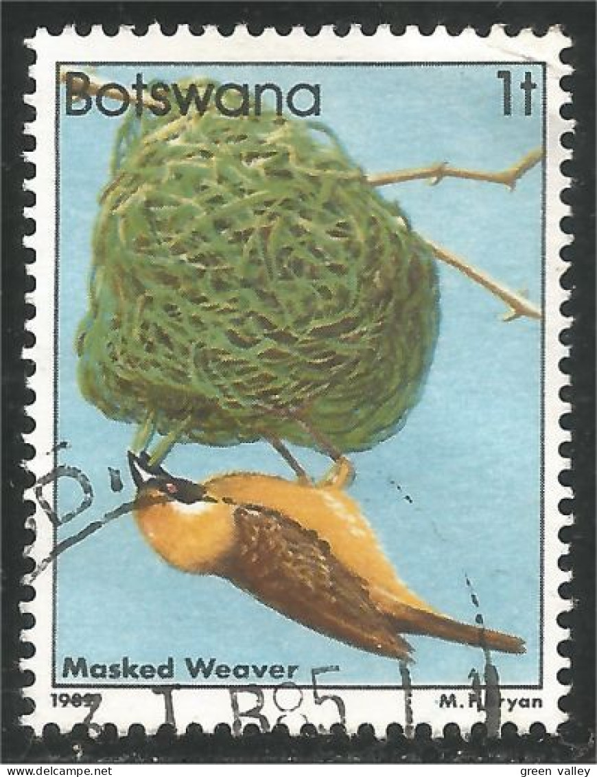 210 Botswana Oiseau Bird Vogel Uccello Masked Weaver Tisserand (BOT-30c) - Botswana (1966-...)