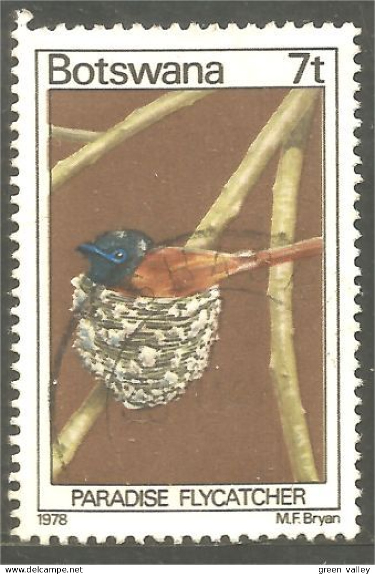 210 Botswana Oiseau Bird Vogel Uccello Paradise Flycatcher (BOT-29b) - Botswana (1966-...)