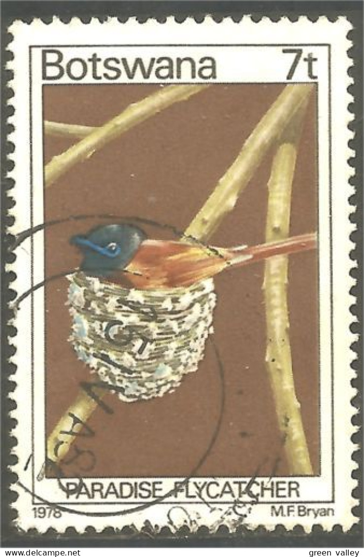 210 Botswana Oiseau Bird Vogel Uccello Paradise Flycatcher (BOT-29c) - Botswana (1966-...)