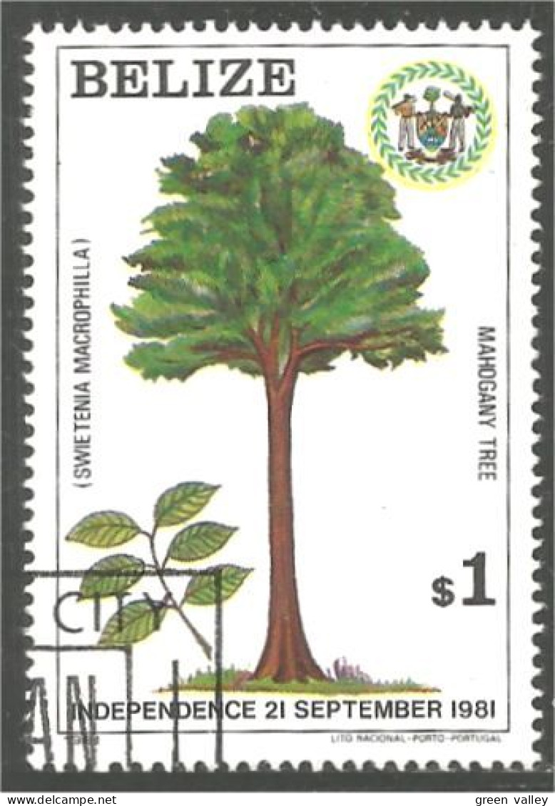 204 Belize Independence Arbre Tree Mahogany Acajou Caoba Mahonie Mahagoni Mogano (BLZ-52a) - Belize (1973-...)