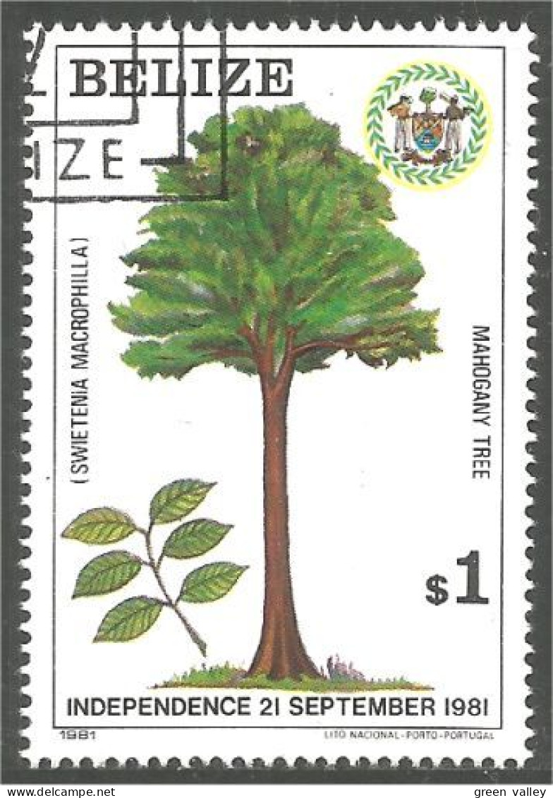 204 Belize Independence Arbre Tree Mahogany Acajou Caoba Mahonie Mahagoni Mogano (BLZ-52c) - Belize (1973-...)