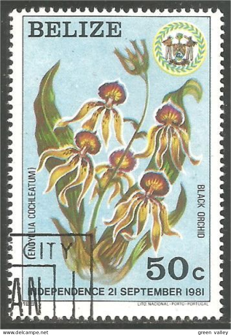 204 Belize Independence Orchidée Black Orchid Orkid (BLZ-51a) - Belize (1973-...)