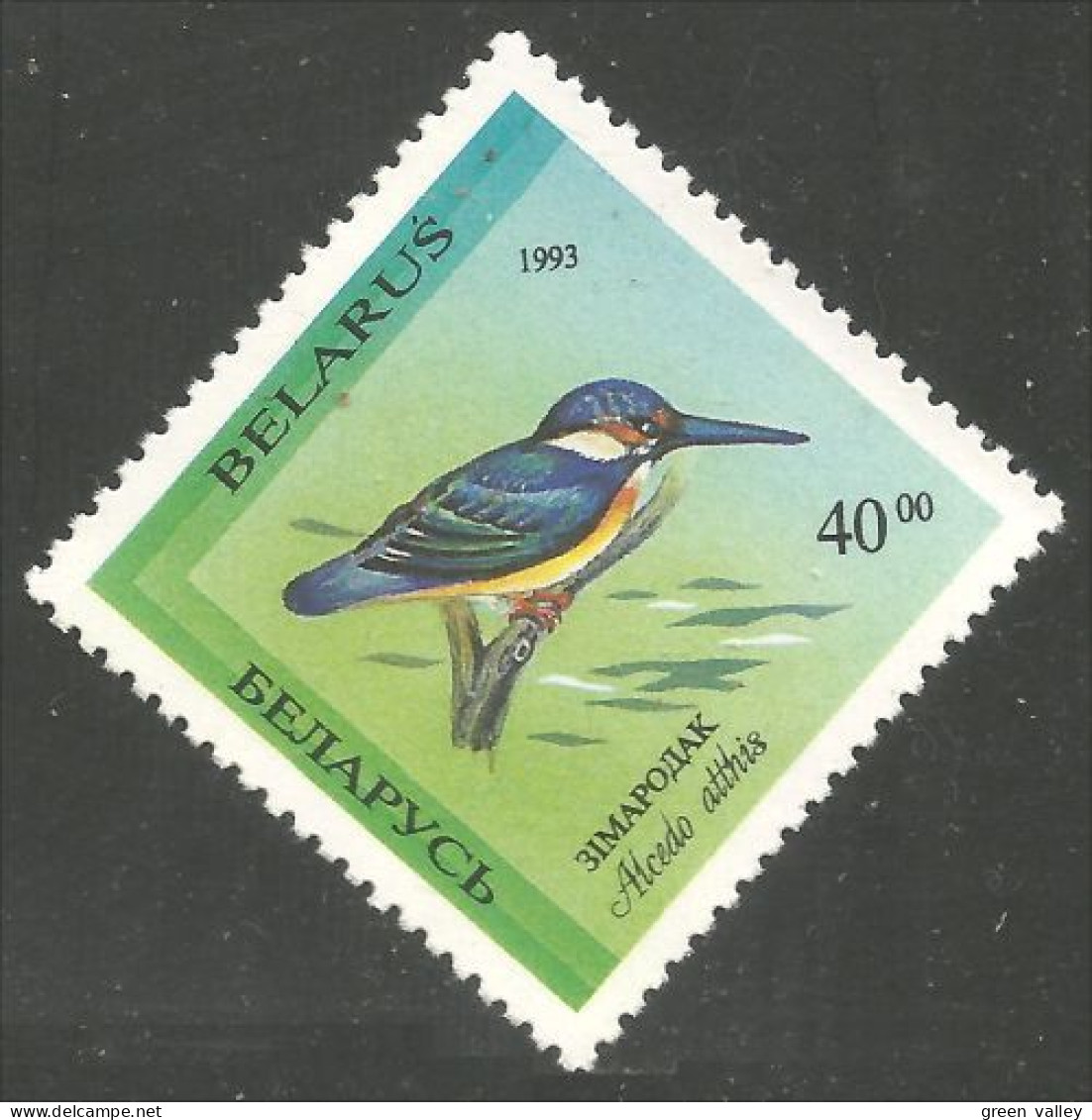 202 Belarus 1993 Swan Bird Oiseau Cygne MNH ** Neuf SC (BLR-19) - Cygnes