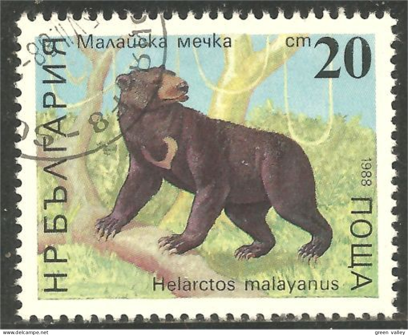 230 Bulgarie Ours Bear Bar Orso (BUL-463) - Bears