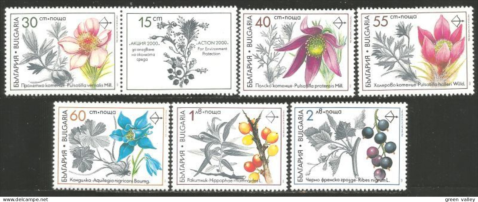 230 Bulgarie Plantes Medicinal Plants Medizinische Pflanzen MNH ** Neuf SC (BUL-438a) - Plantas Medicinales
