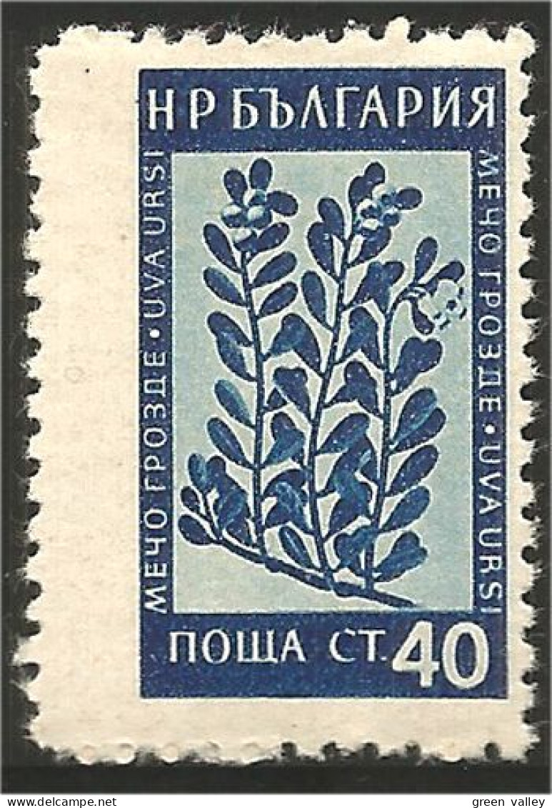 230 Bulgarie 1953 Bear Grass Herbe Ours MNH ** Neuf SC (BUL-262) - Plantes Médicinales