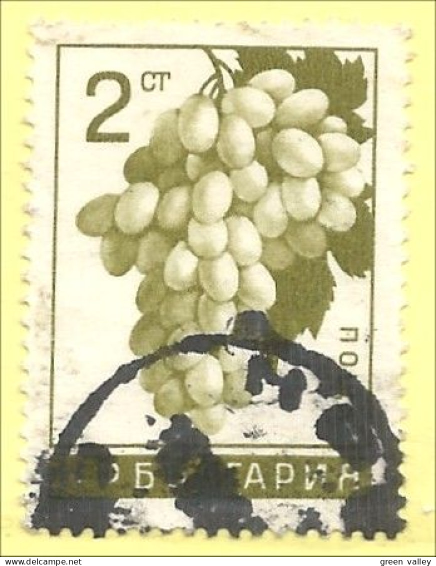 230 Bulgarie Raisin Vigne Vendanges Grape Wine Wein (BUL-202) - Wein & Alkohol