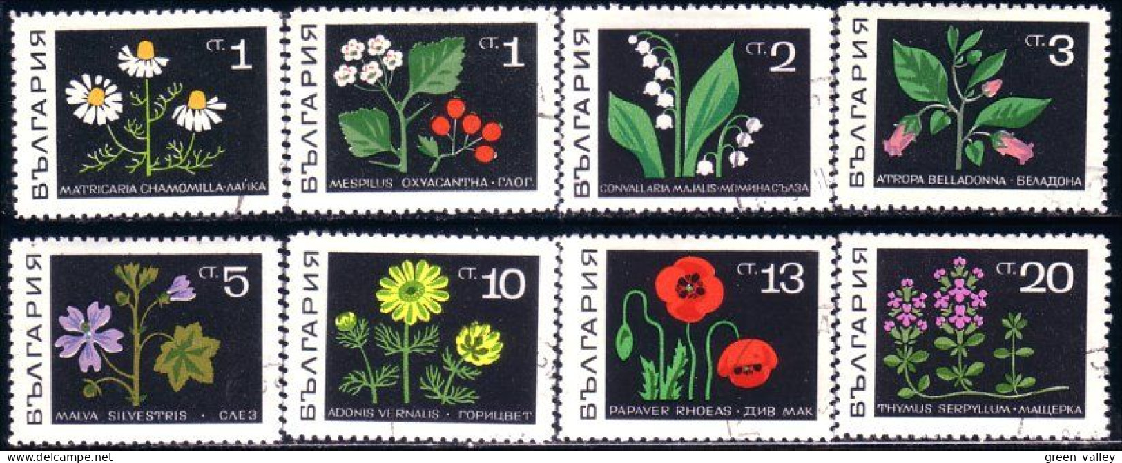 230 Bulgarie Fleurs Flowers (BUL-173) - Used Stamps