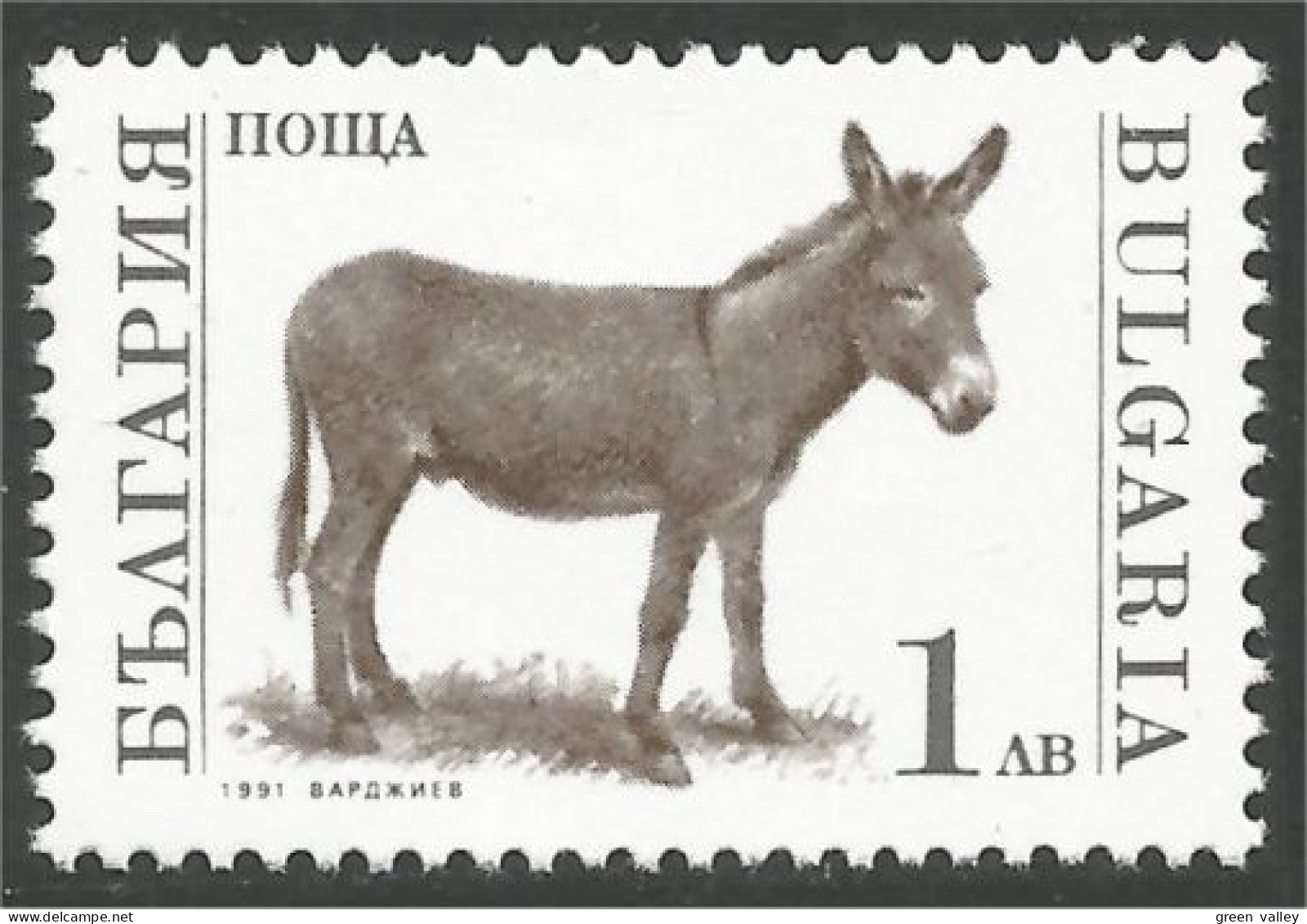 230 Bulgarie Ane Donkey Eisel MNH ** Neuf SC (BUL-44) - Ezels