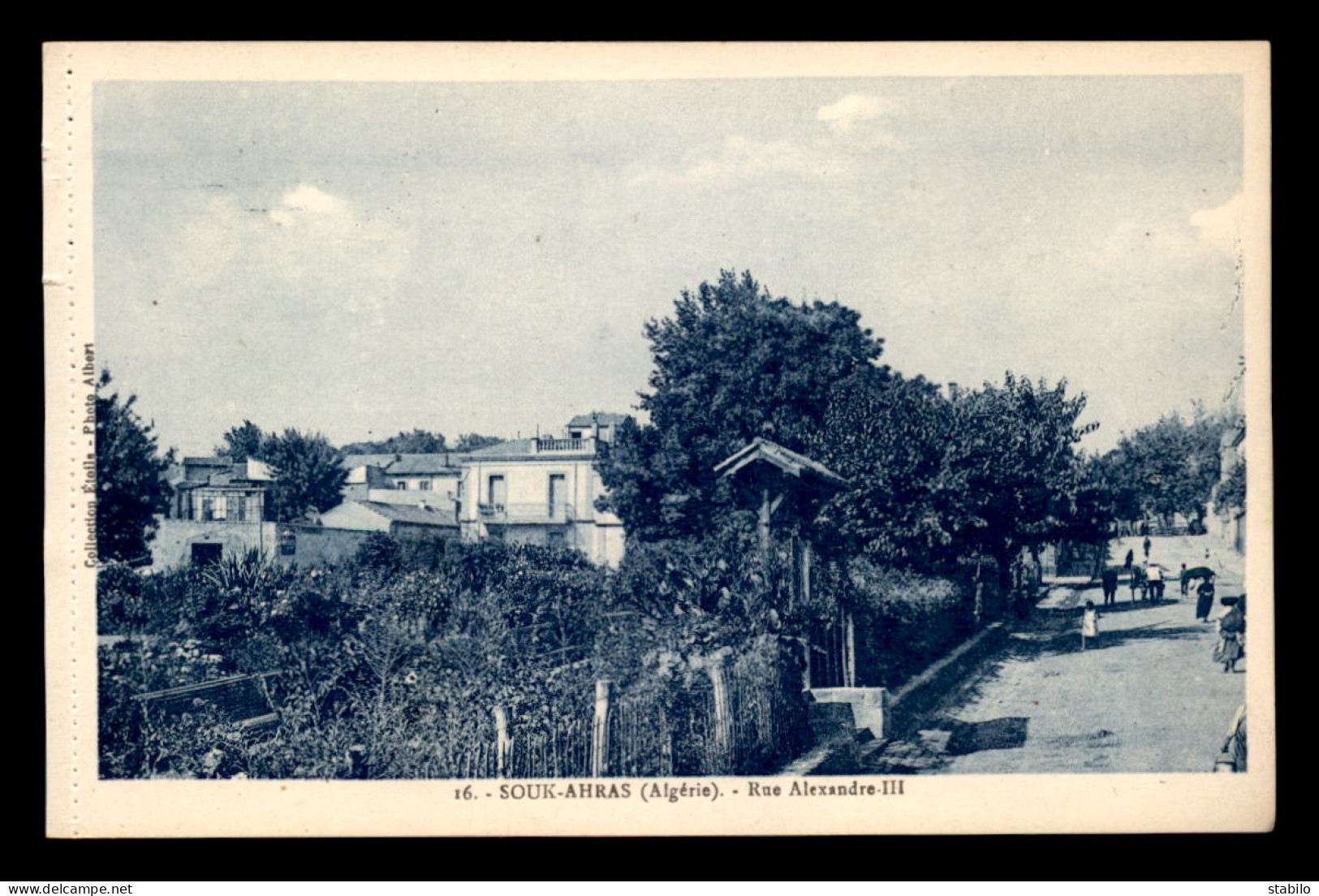 ALGERIE - SOUK-AHRAS - RUE ALEXANDRE III - Souk Ahras