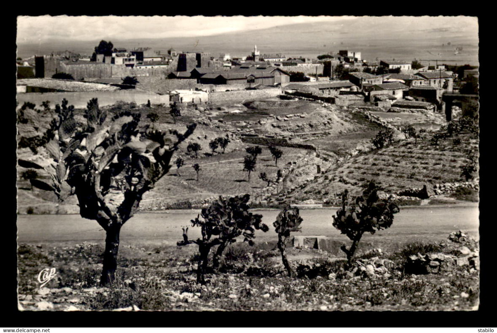 ALGERIE - TEBESSA - VUE GENERALE - Tébessa