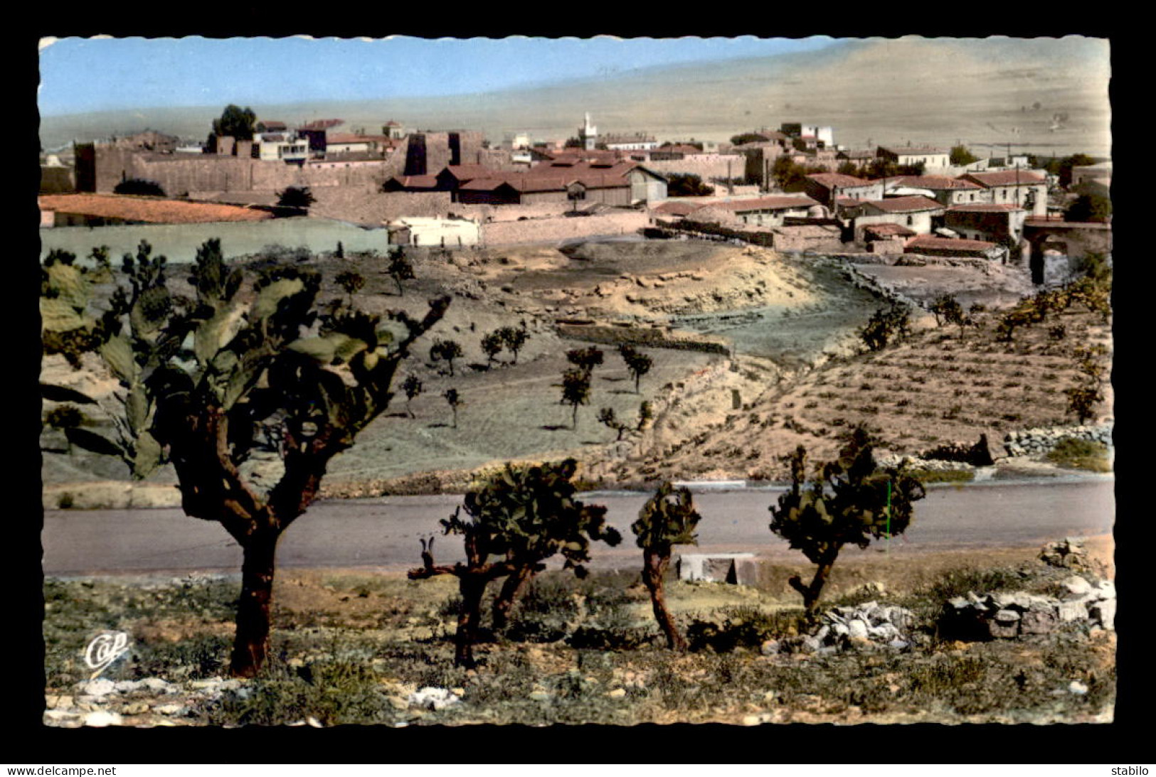 ALGERIE - TEBESSA - VUE GENERALE - Tébessa