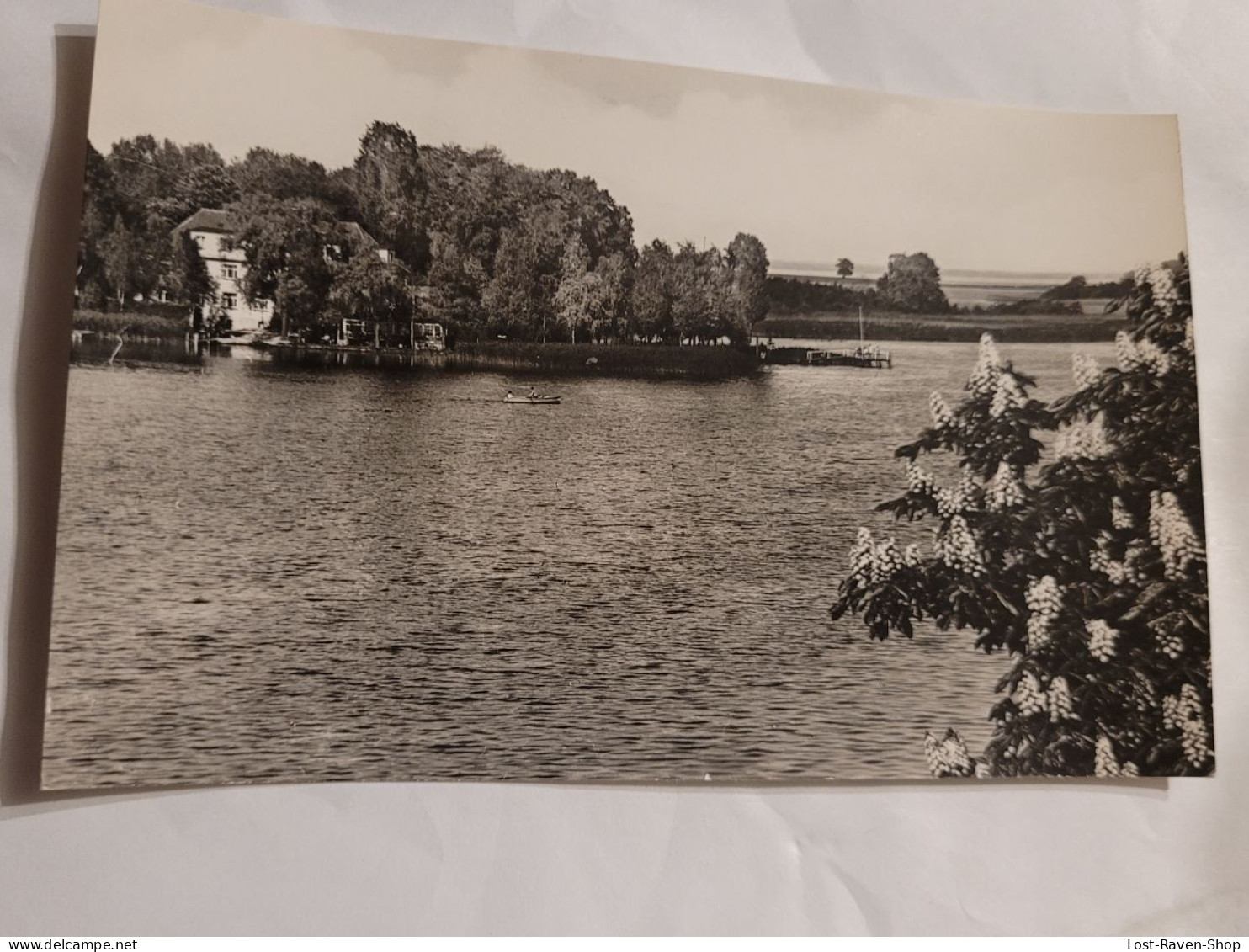 Röbel / Müritz - Blick Auf Den Seestern - Röbel