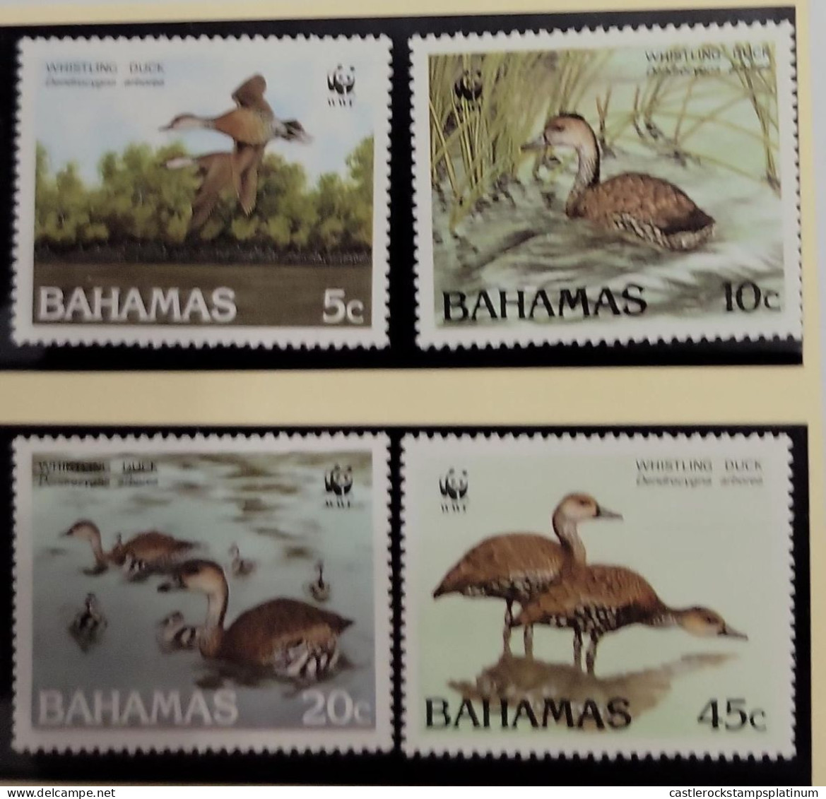 O) 1988 BAHAMAS, BIRDS. WWF - WORLD WILDLIFE FUND, WISTLING DUCKS, DENDROCYGNA ARBREA, DUCKS IN FLIGHT, AMONG MARINE PLA - Bahamas (1973-...)