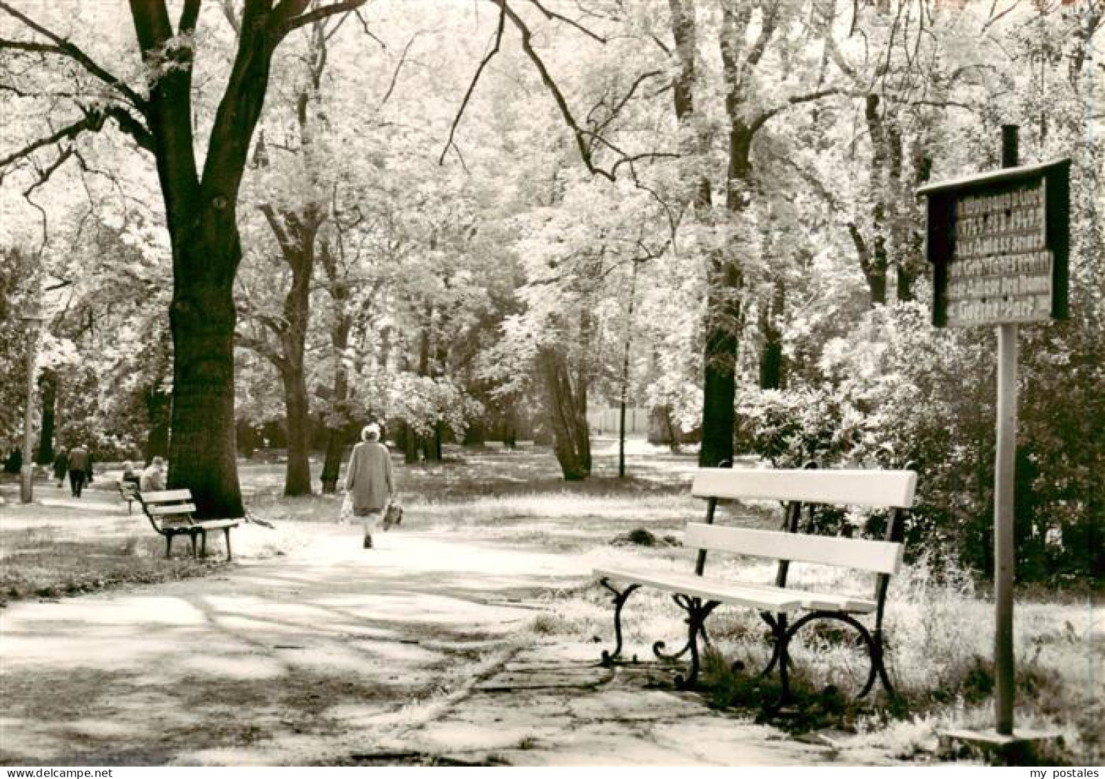 73962624 Zeitz_Sachsen-Anhalt Goethepark - Zeitz