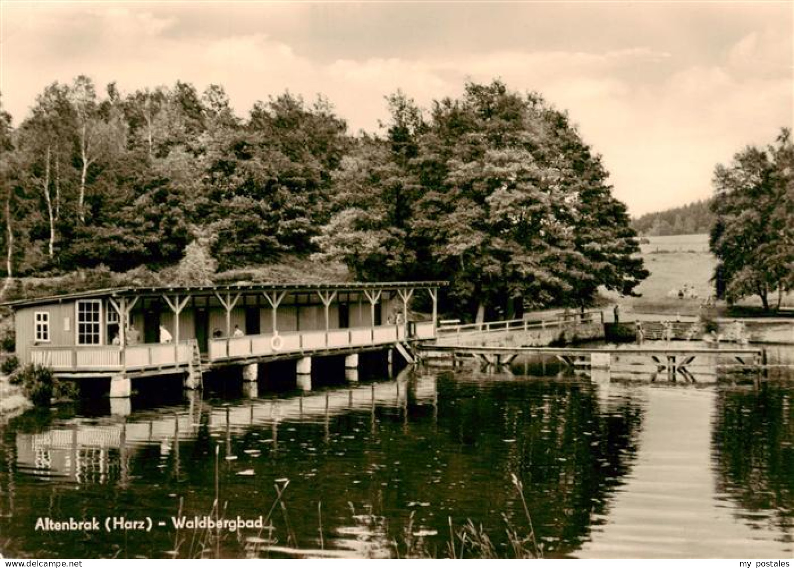 73962584 Altenbrak_Harz Waldbergbad - Altenbrak