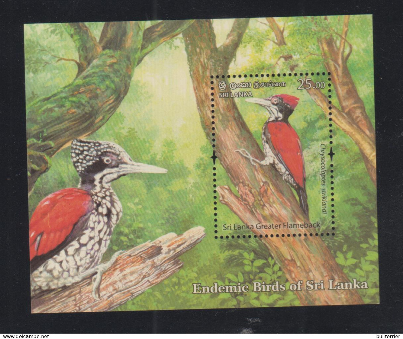 BIRDS - SIRLANKA - WOODPECKER SOUVENIR SHEET  MINT NEVER HINGED - Specht- & Bartvögel