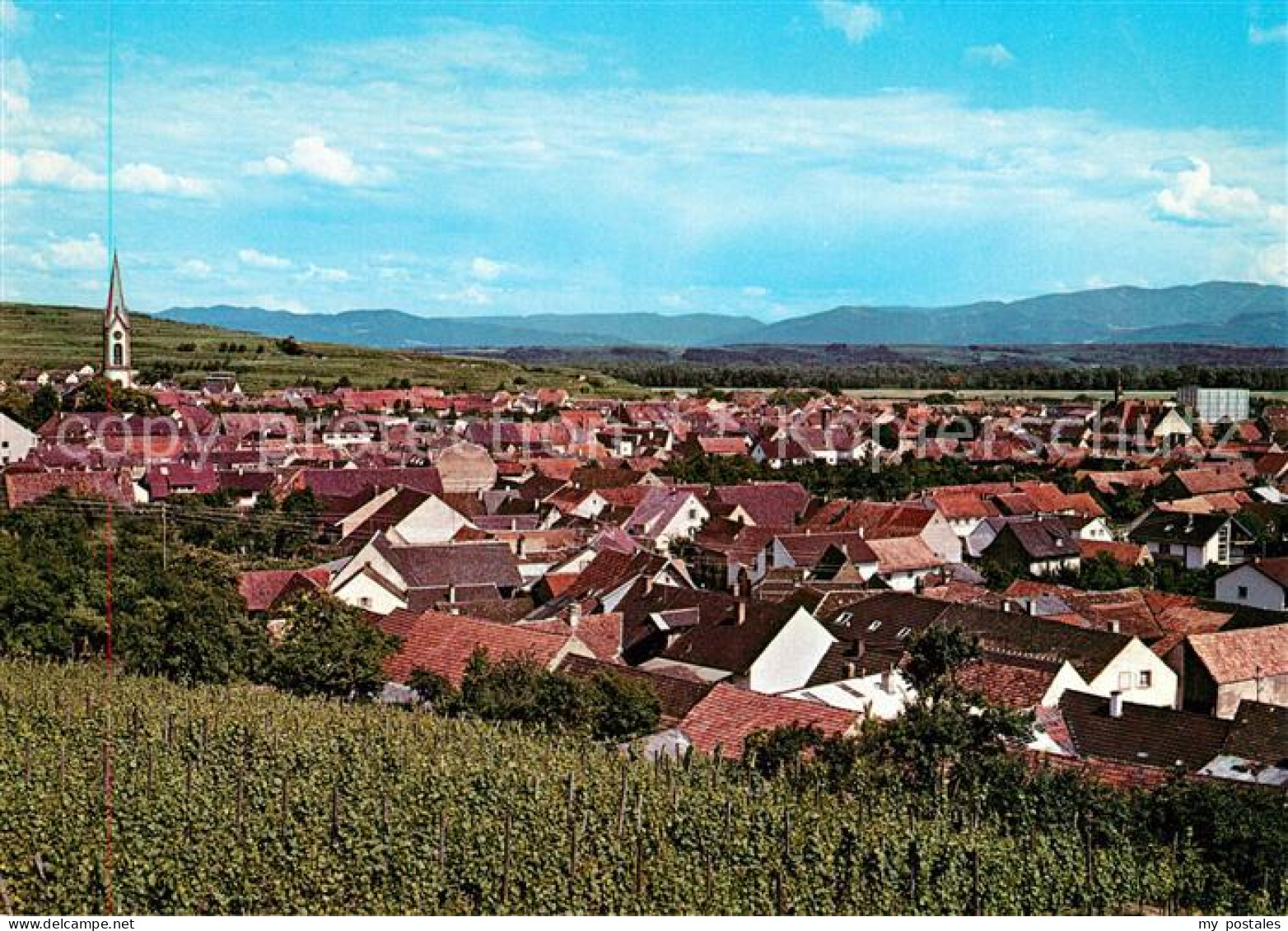 73196805 Ihringen Panorama Ihringen - Ihringen