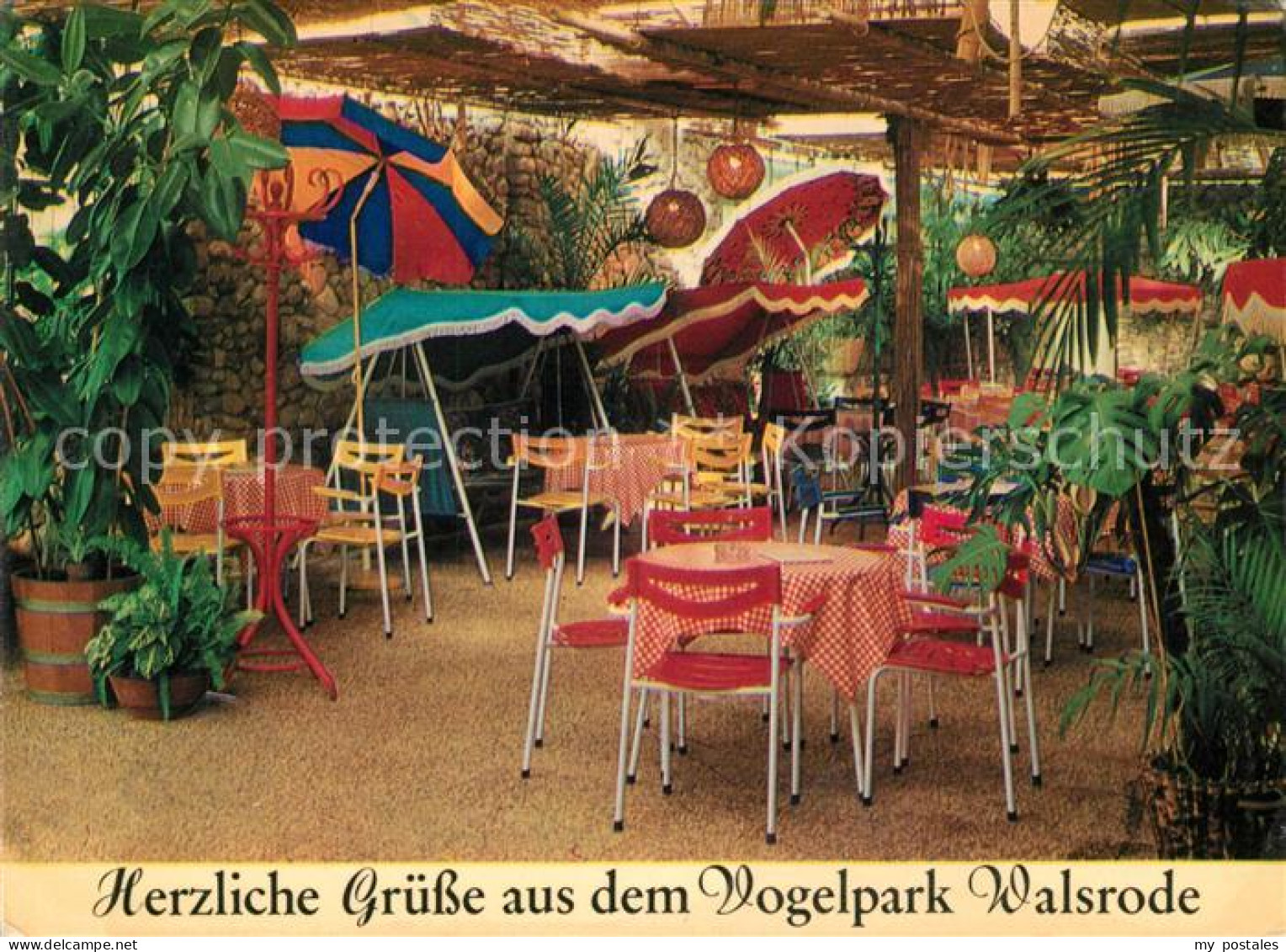 73195969 Walsrode Lueneburger Heide Vogelpark Tropencafe Walsrode Lueneburger He - Walsrode