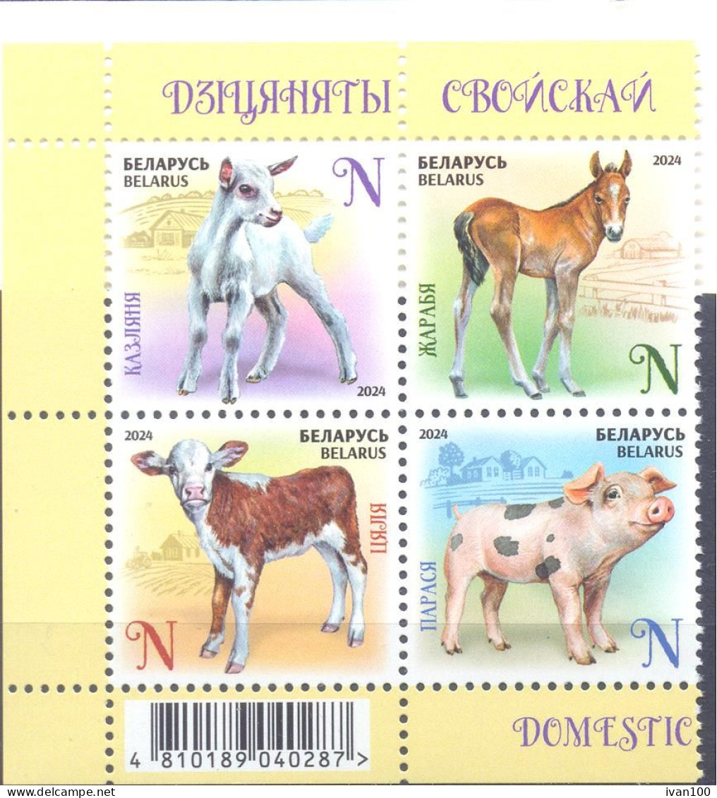 2024. Belarus, Domestic Baby Animals, 4v Se-tenant, Mint/** - Belarus